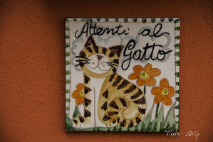 Attention, chat gentil !