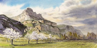 Dent de Crolles, cerisiers en fleur