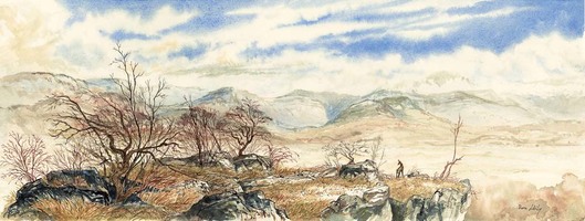 Rencontre, montagne du Chat